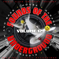Toxic Club Anthems Present - Sounds Of The Underground, Vol. 12