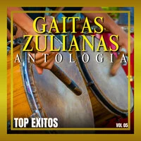 Gaitas Zulianas Antología Vol. 5 Top Éxitos