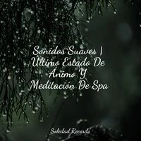 Sonidos Suaves | Último Estado De Ánimo Y Meditación De Spa