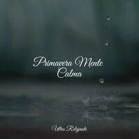Primavera Mente Calma