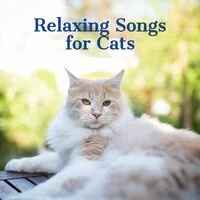 Cats Jazz | Relaxing Songs for Cats