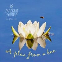 A plea from a bee