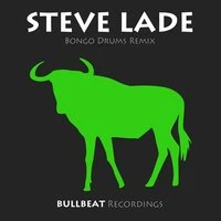 Bongo Drums