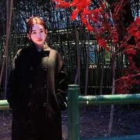 爱情没公式