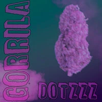 Gorrila