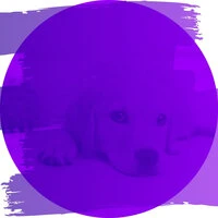 Trio Jazz - Bgm for Serene Puppies