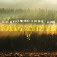 Study with Me: Focusing Quiet Morning Foggy Forest Sounds 3