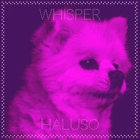 Whisper