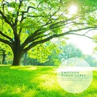 Time Of Meditation To Empty Our Minds