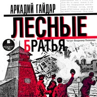 Аркадий Гайдар. «Лесные братья (Давыдовщина)»