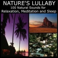 Nature's Lullaby: 100 Natural Sounds for Relaxation, Mediation and Sleep