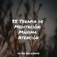 35 Terapia de Meditación: Máxima Atención