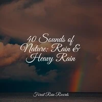 40 Sounds of Nature: Rain & Heavy Rain