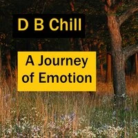 A Journey of Emotion