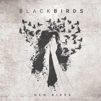 New Birds
