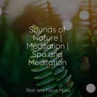 Sounds of Nature | Meditation | Spa and Meditation