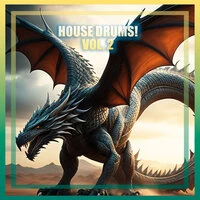 House Drums! Vol. 2