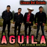 Lineas Del Estado
