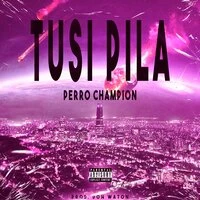 Tusi pila