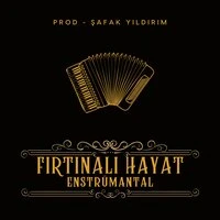 Fırtınalı Hayat