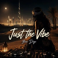 Just the Vibe