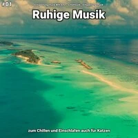 #01 Ruhige Musik zum Chillen und Einschlafen auch für Katzen
