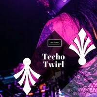 Techo Twirl - Disco, Club And Bar Night Life