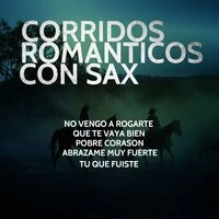 Corridos Romanticos Con Sax: No Vengo a Rogarte, Que Te Vaya Bien, Pobre Corason, Abrazame Muy Fuerte, Tu Que Fuiste