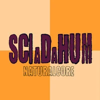 Sciadahum