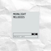 Moonlight Melodies: Chill Lofi Beats
