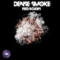 Feel Echoes
