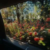 想看山花多烂漫