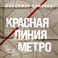 Владимир Евменов. «Красная линия метро»
