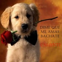Dime Que Me Amas