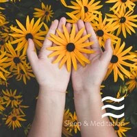 Sleeping Soft Soughs for Babies Well Sleeping and Dreaming