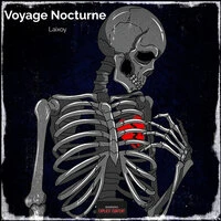 Voyage Nocturne