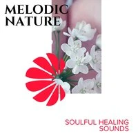 Melodic Nature - Soulful Healing Sounds
