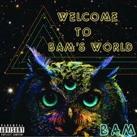 Welcome to Bam's World