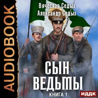 Сын ведьмы. Книга 1