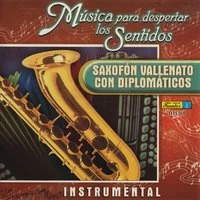 Música para Despertar los Sentidos - Saxofón Vallenato