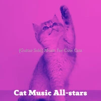 (Guitar Solo) Music for Cute Cats