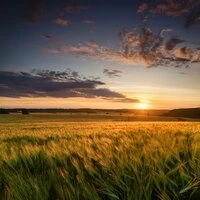 Orchestra Of Tranquil Moments: Symphonic Soundscapes For Deep Relaxation