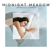 Midnight Meadow: Deep Sleep Music