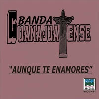 Aunque Te Enamores