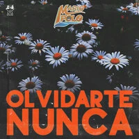 Olvidarte Nunca
