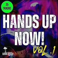Hands Up Now! Vol. 1