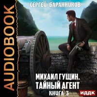 Сергей Баранников. «Михаил Гущин. Книга 3. Тайный агент»