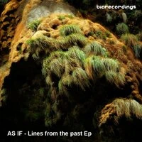 Lines From The Past