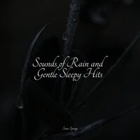 Sounds of Rain and Gentle Sleepy Hits
