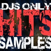 DJs Only - Hits Samples